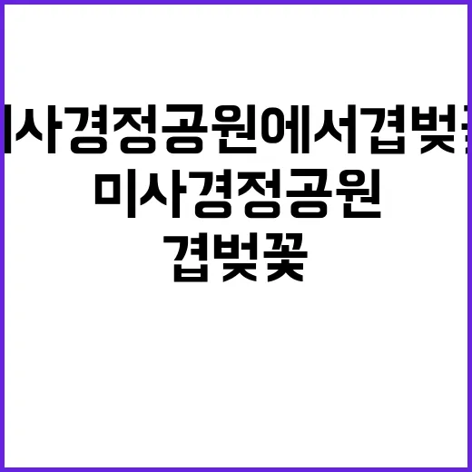 미사경정공원에서 겹…