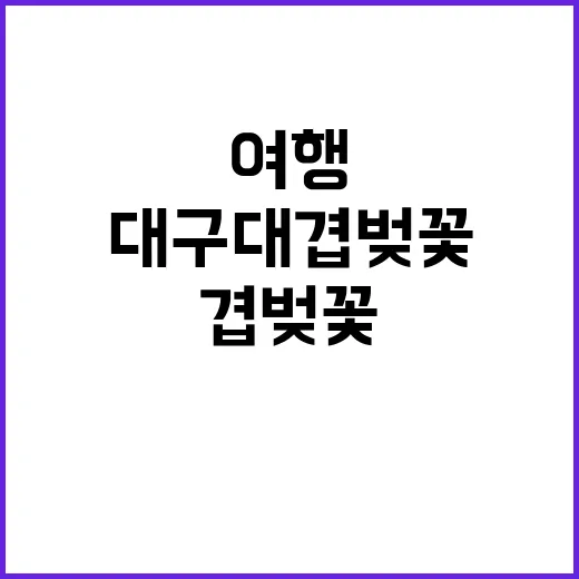 대구대 겹벚꽃을 만…