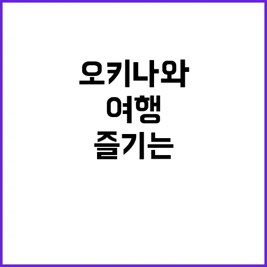 오키나와에서 완벽한…