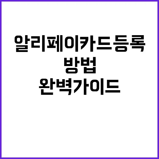 알리페이 카드등록하…