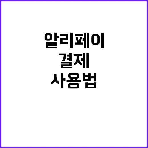 알리페이 사용법: …
