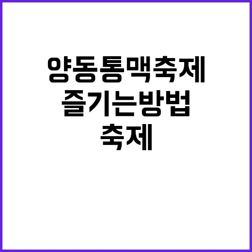 양동 통맥축제를 즐…