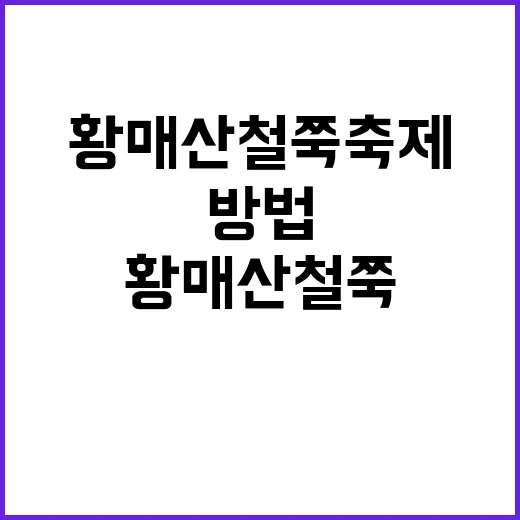 황매산 철쭉축제를 …