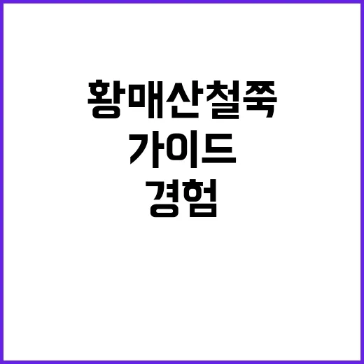 황매산 철쭉을 감상하는 방법: 최고의 경험을 위한 가이드