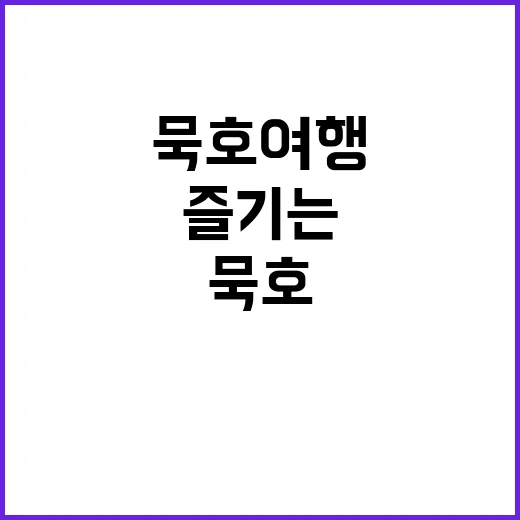 묵호 여행을 완벽히…