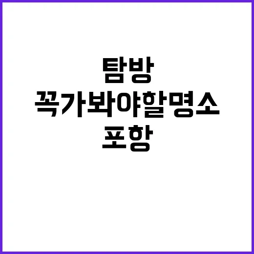 포항에서 꼭 가봐야…