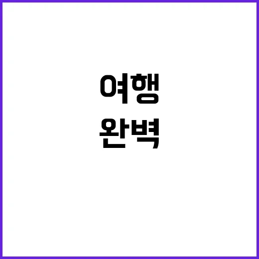 차지티를 즐기는 방…