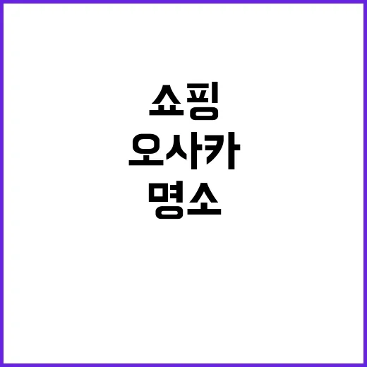 오사카에서 쇼핑을 즐기는 방법: 필수 쇼핑 명소와 팁