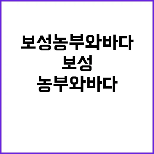 보성 농부와바다 체…