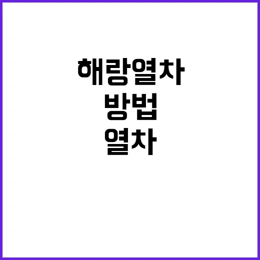 해랑열차를 저렴하게…