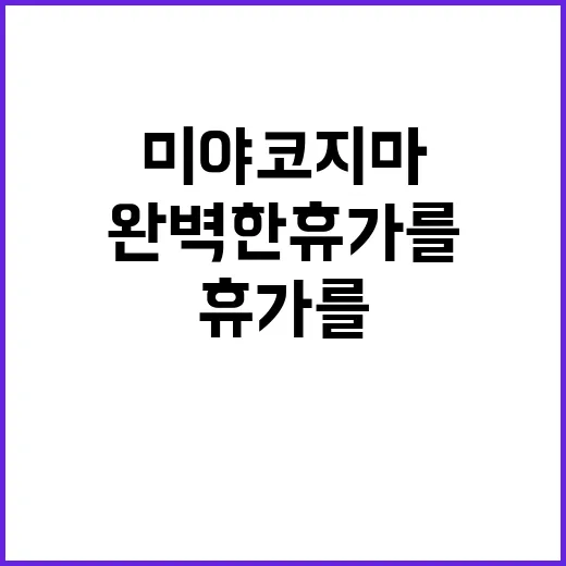 미야코지마에서 완벽…