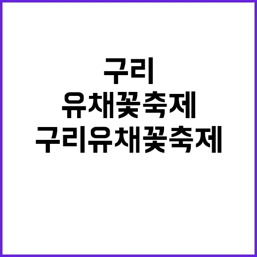 구리 유채꽃 축제를…