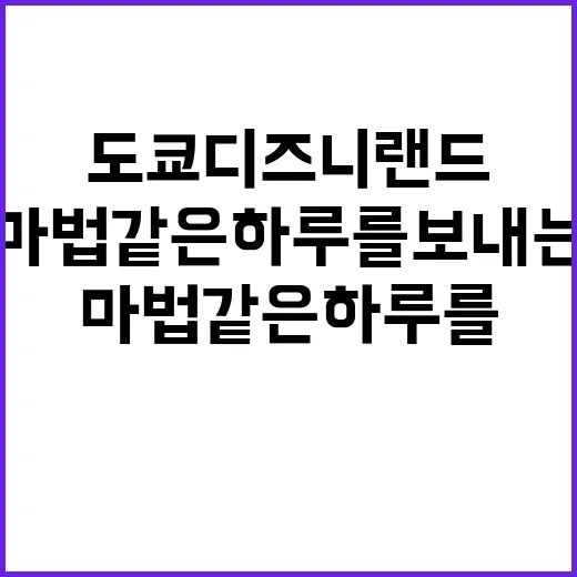 도쿄 디즈니랜드에서…