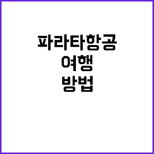 파라타항공으로 편안…
