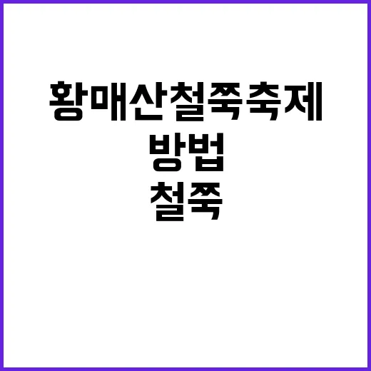황매산 철쭉축제를 …