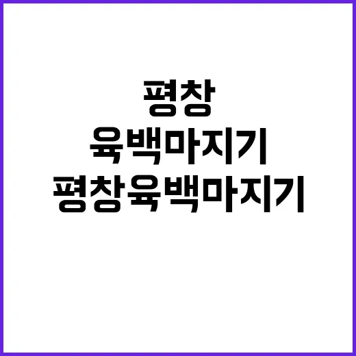 평창 육백마지기에서…