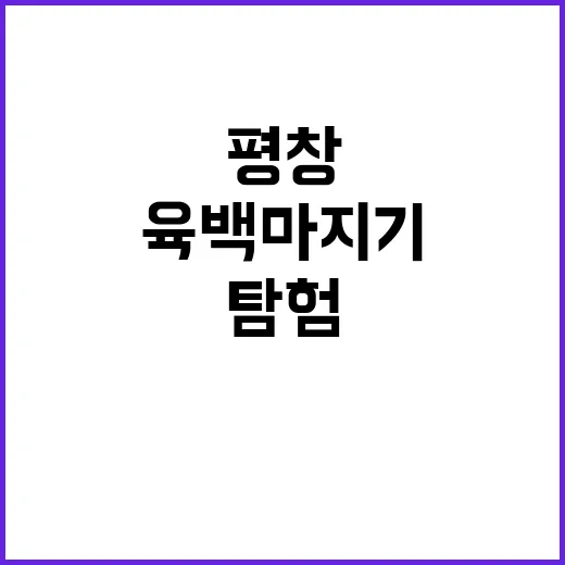평창 육백마지기를 …