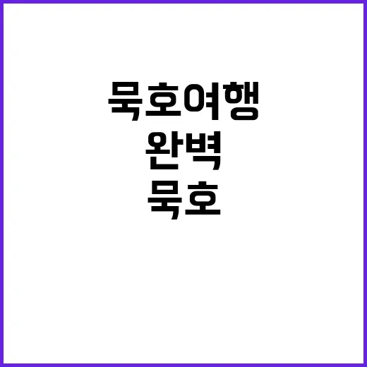 묵호 여행을 완벽하…