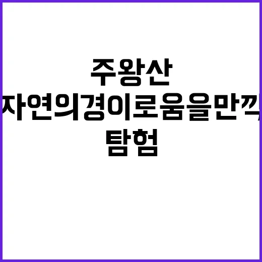 주왕산 주봉을 탐험…