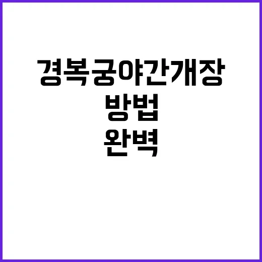 경복궁 야간개장을 완벽하게 즐기는 방법