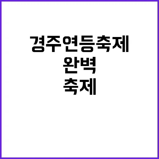 경주 연등축제를 완벽하게 즐기는 방법