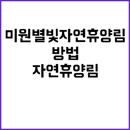 미원별빛자연휴양림에…
