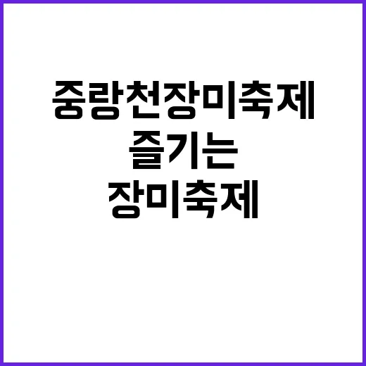 중랑천 장미축제를 즐기는 방법
