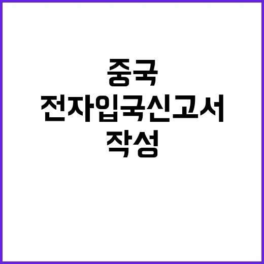 중국 전자입국신고서…