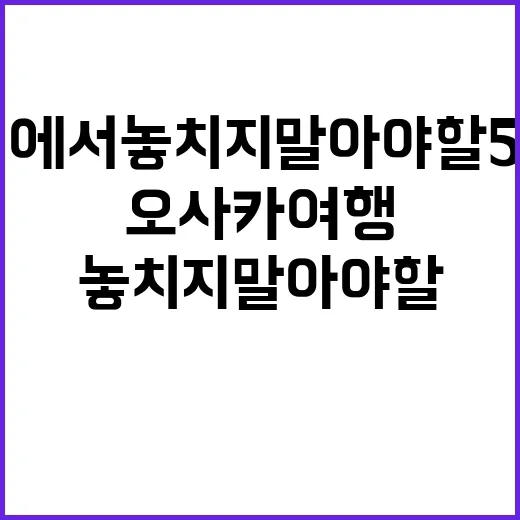 오사카 여행에서 놓…