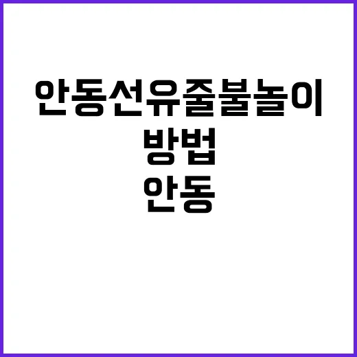 안동 선유줄불놀이의…