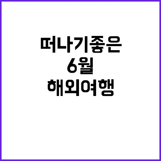 6월에 해외여행을 …