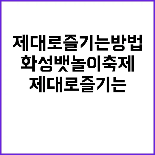 화성뱃놀이축제를 제…
