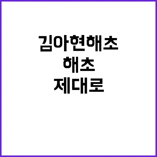 김아현 해초를 제대…