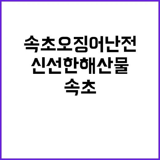 속초 오징어난전에서…