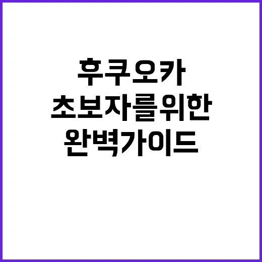 초보자를 위한 후쿠…