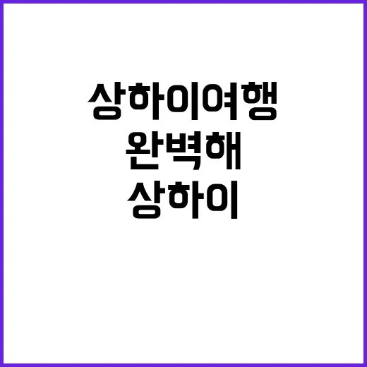 상하이 여행, 이렇…