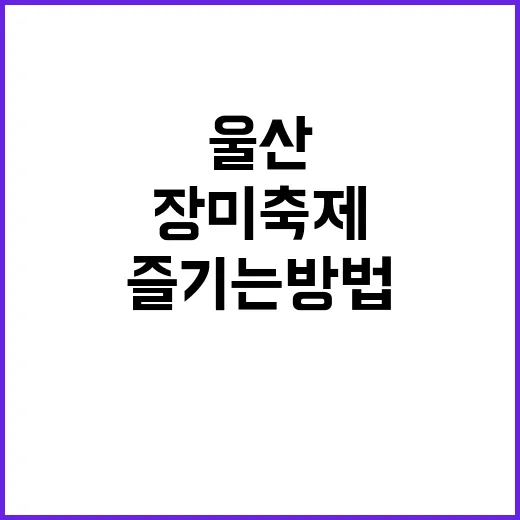 울산 장미축제 제대로 즐기는 방법