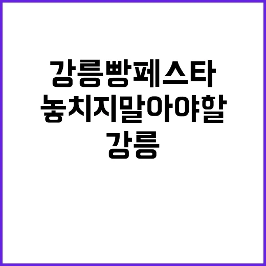 강릉 빵페스타에서 놓치지 말아야 할 꿀팁들