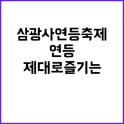 삼광사 연등축제 제대로 즐기는 방법