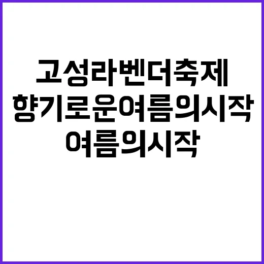 고성 라벤더축제 즐…