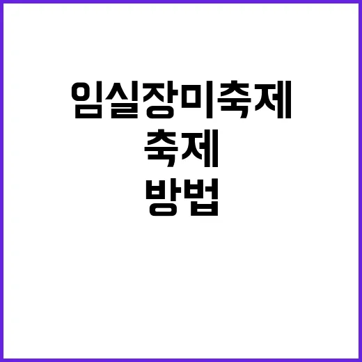 임실 장미축제의 낭…