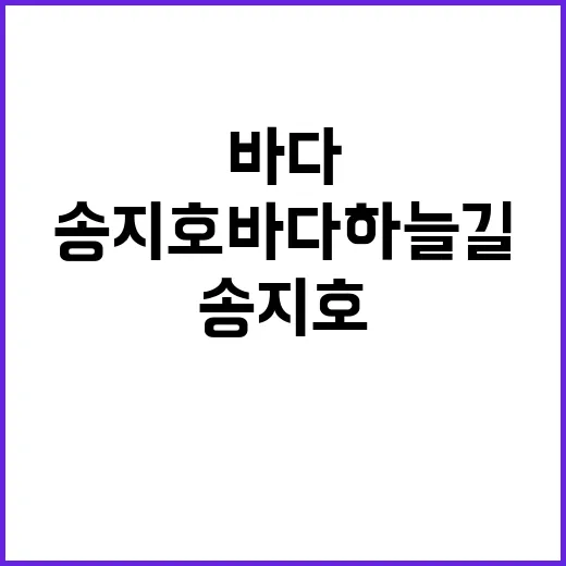 송지호 바다하늘길을…