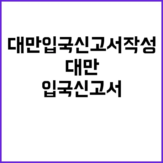 대만 입국신고서 작…