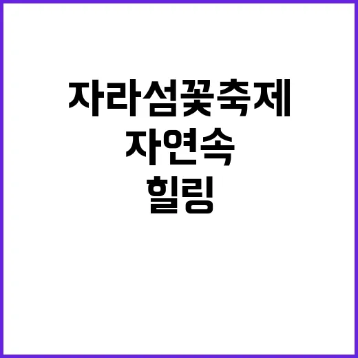 자라섬 꽃축제를 즐…