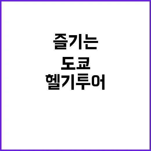 도쿄에서 헬기 투어…