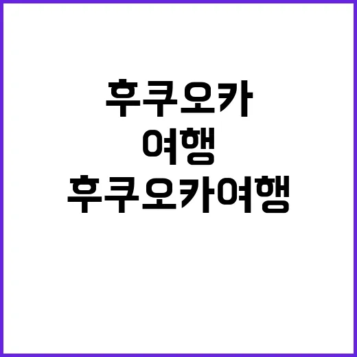 후쿠오카 여행, 이렇게 즐기면 재미 두 배!