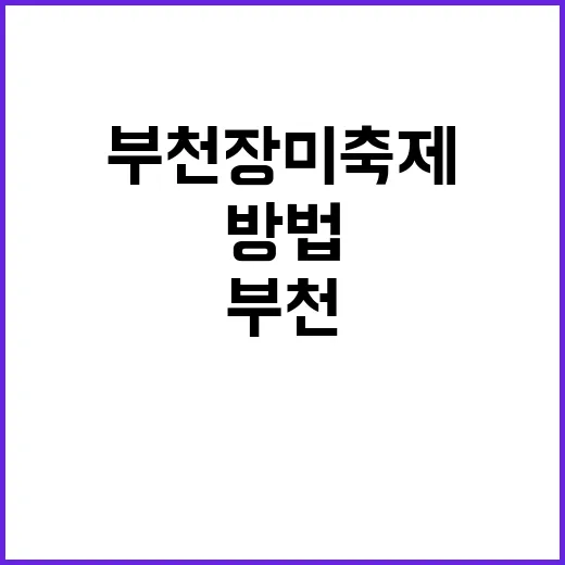 부천 장미축제, 로…