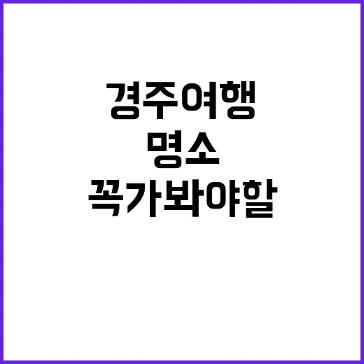 경주 여행, 꼭 가…