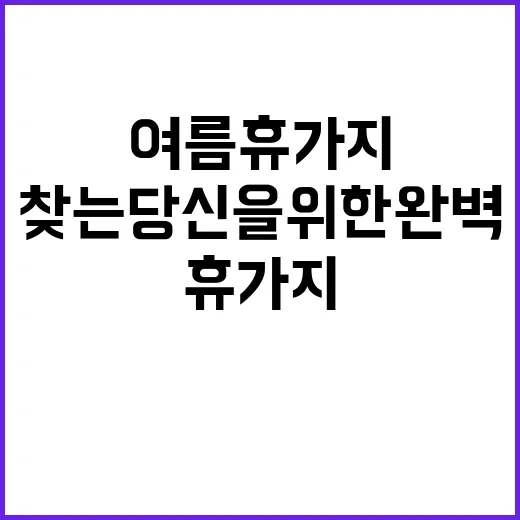 국내 여름 휴가지를…