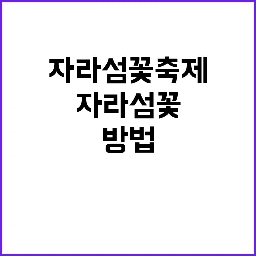 자라섬 꽃축제를 만…